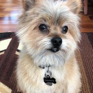 Meet your Posher, Mary